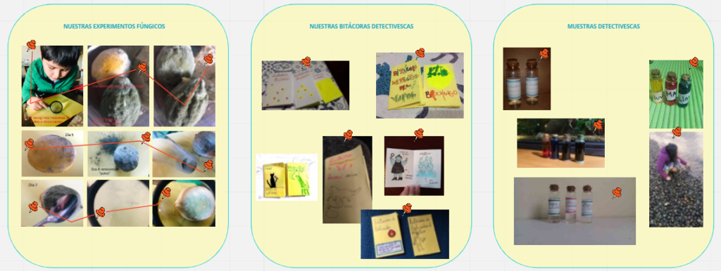 Recorte del panel Miró elaborado con fotografías y videos de los experimentos desarrollados por niños/as participantes